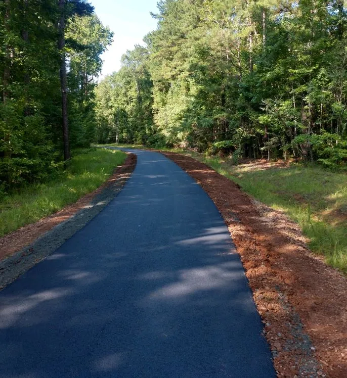 long asphalt driveway curving to the left, surrounded by trees on either side